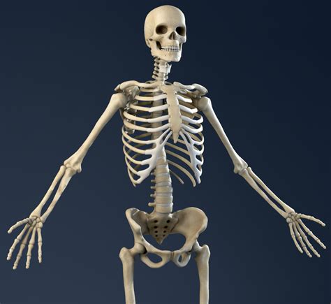 Skin bone - Bone infection (osteomyelitis): If you have an open fracture (the bone breaks through your skin) you have an increased risk of bacterial infection. Other internal damage : Fractures can damage the area around the injury including your muscles, nerves, blood vessels, tendons and ligaments.